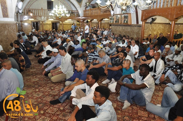 3ed ad7a ma7modiya (3).JPG